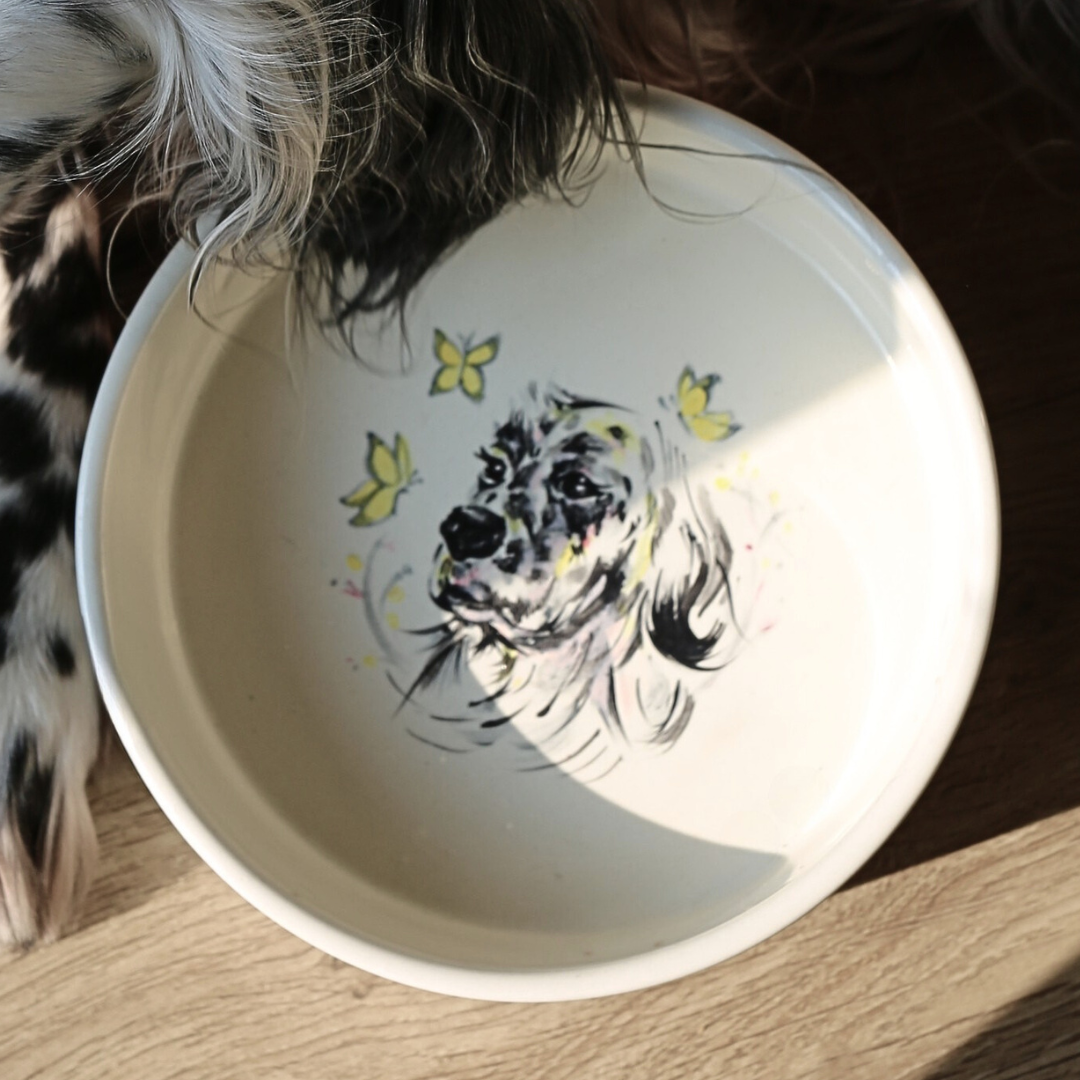 The Pawfect Pet Bowl M