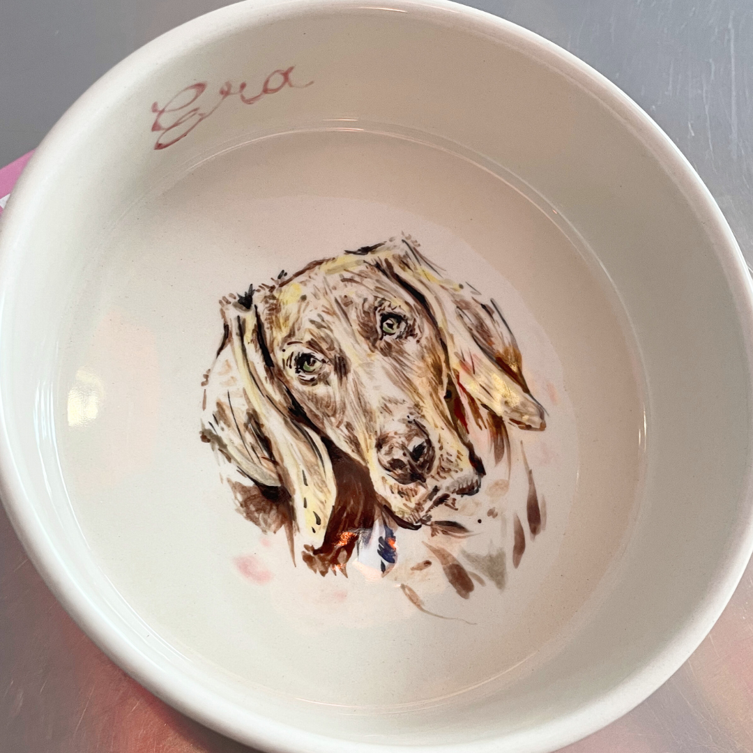 The Pawfect Pet Bowl M