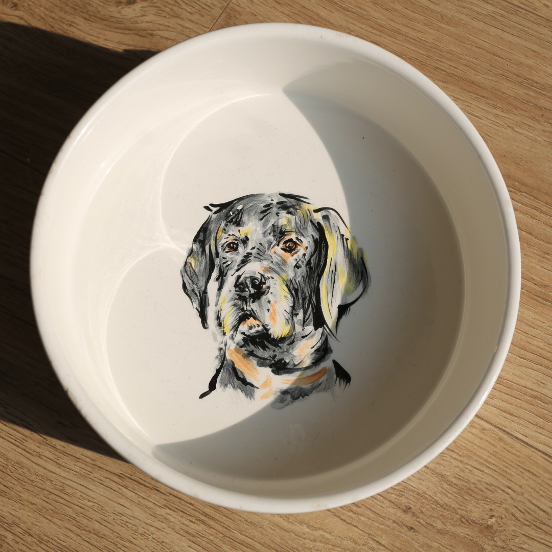 The Pawfect Pet Bowl M