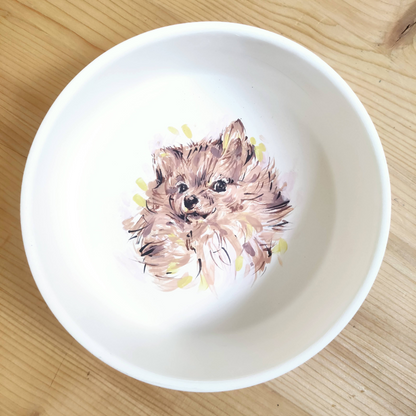 The Pawfect Pet Bowl S