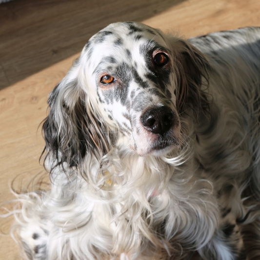 Tailor-made Coffee Cup