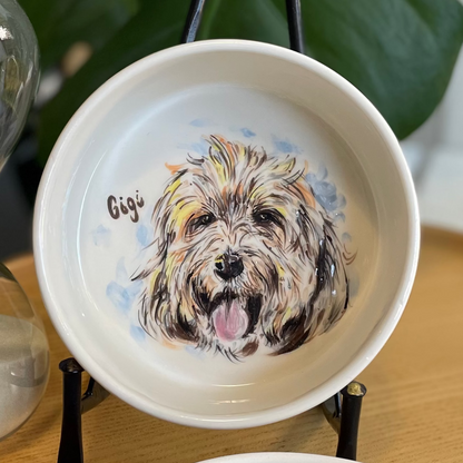 The Pawfect Pet Bowl S