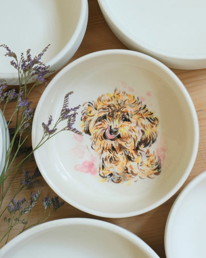 The Pawfect Pet Bowl S